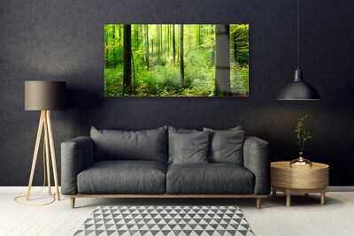 Slika na akrilnem steklu Green forest trees narava