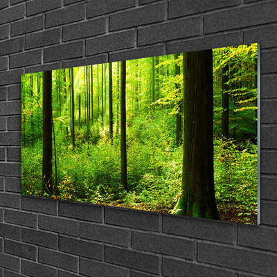 Slika na akrilnem steklu Green forest trees narava
