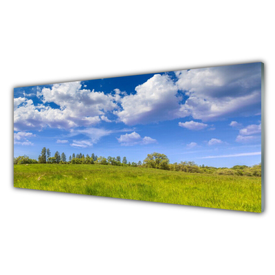 Slika na akrilnem steklu Travnik grass heaven landscape