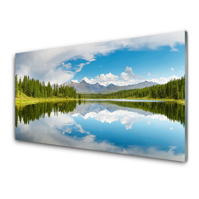 Slika na akrilnem steklu Forest lake gore landscape
