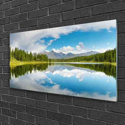 Slika na akrilnem steklu Forest lake gore landscape