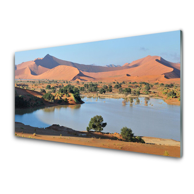 Slika na akrilnem steklu Lake desert landscape