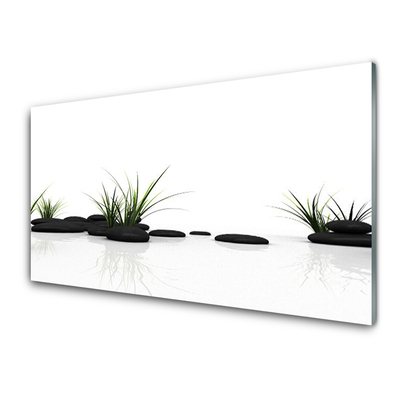 Slika na akrilnem steklu Grass water mirror