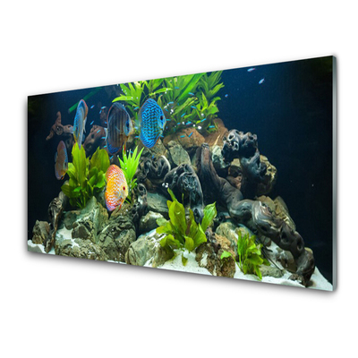 Slika na akrilnem steklu Fish aquarium narava