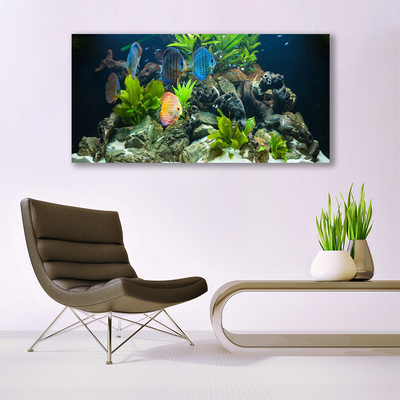 Slika na akrilnem steklu Fish aquarium narava