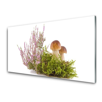 Slika na akrilnem steklu Rastlinski gobe narava
