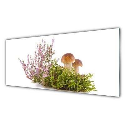 Slika na akrilnem steklu Rastlinski gobe narava