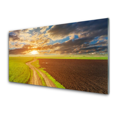 Slika na akrilnem steklu Narava polje sky sun