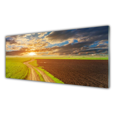 Slika na akrilnem steklu Narava polje sky sun