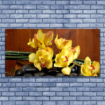 Slika na akrilnem steklu Cvet orhideje rastlin