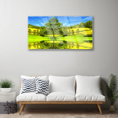 Slika na akrilnem steklu Drevo travnik narava