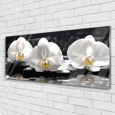 Slika na akrilnem steklu Bela orhideja cvet