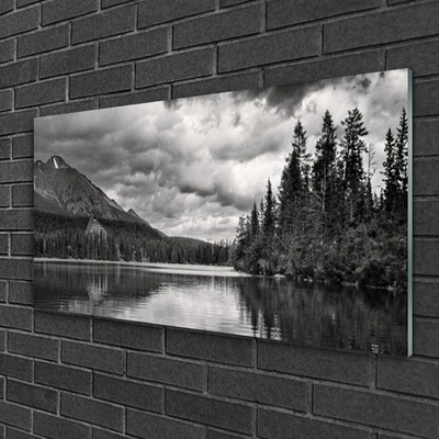 Slika na akrilnem steklu Forest lake mountain nature