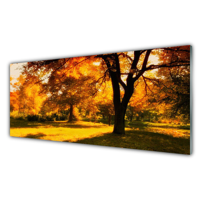 Slika na akrilnem steklu Drevesa jesen narava