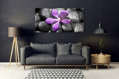 Slika na akrilnem steklu Flower stones art