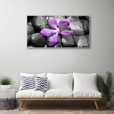 Slika na akrilnem steklu Flower stones art