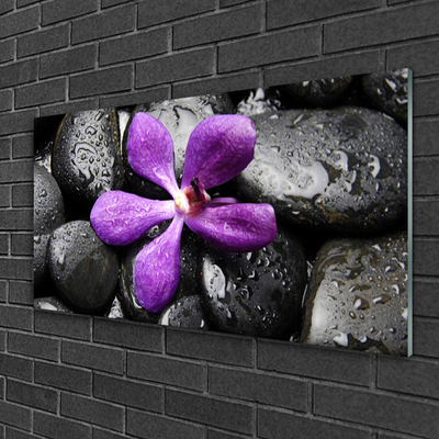 Slika na akrilnem steklu Flower stones art