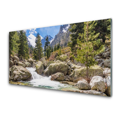 Slika na akrilnem steklu Stones river mountain forest