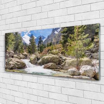 Slika na akrilnem steklu Stones river mountain forest