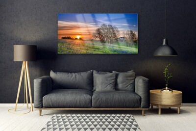 Slika na akrilnem steklu Sun travnik landscape