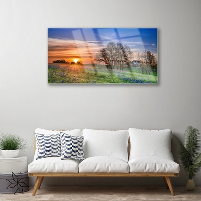 Slika na akrilnem steklu Sun travnik landscape