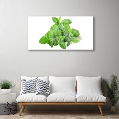 Slika na akrilnem steklu Mint rastlin narava