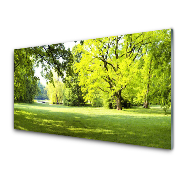 Slika na akrilnem steklu Grass nature park drevesa