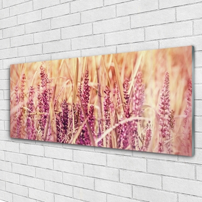 Slika na akrilnem steklu Pšenica rastlin narava