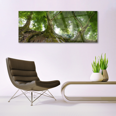 Slika na akrilnem steklu Rastlin drevesa narava