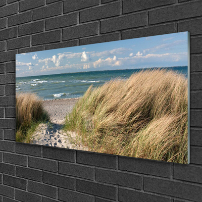 Slika na akrilnem steklu Plaža sea grass landscape