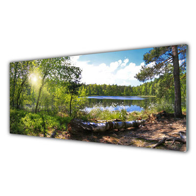Slika na akrilnem steklu Lake forest trees narava