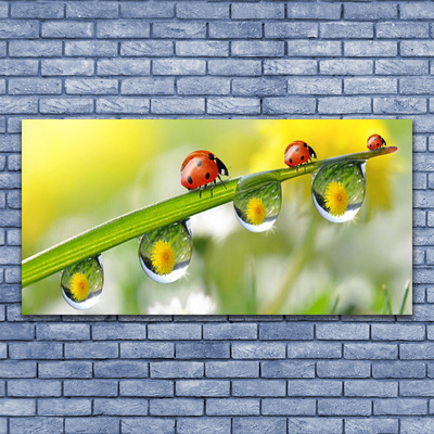 Slika na akrilnem steklu Leaf ladybugs narava