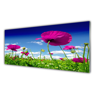 Slika na akrilnem steklu Sky travnik flowers narava