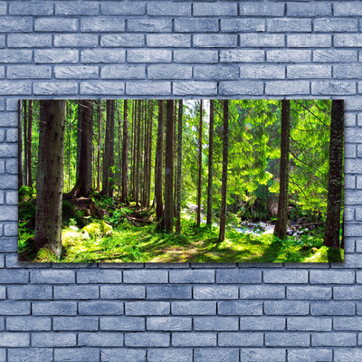 Slika na akrilnem steklu Narava rastlin forest trees