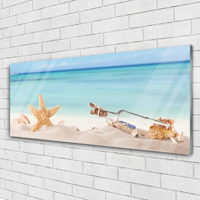 Slika na akrilnem steklu Starfish školjke beach