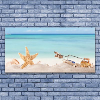 Slika na akrilnem steklu Starfish školjke beach