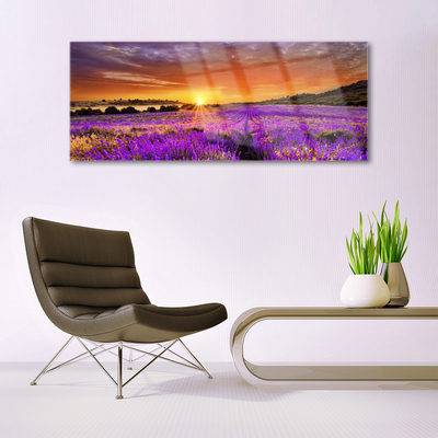 Slika na akrilnem steklu Sunset lavender polje
