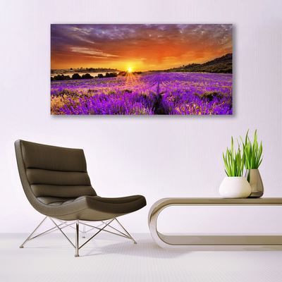 Slika na akrilnem steklu Sunset lavender polje