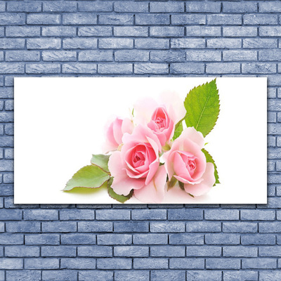 Slika na akrilnem steklu Roses flowers narava rastlin