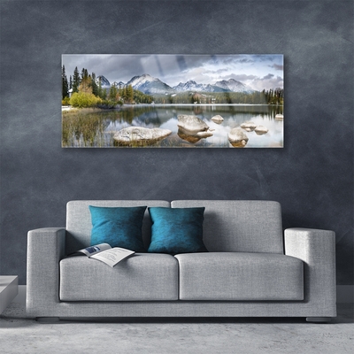 Slika na akrilnem steklu Lake mountains forest landscape