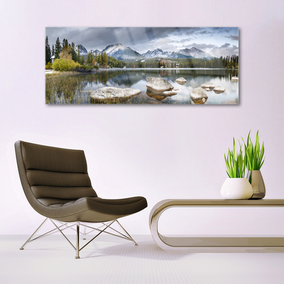 Slika na akrilnem steklu Lake mountains forest landscape