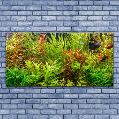 Slika na akrilnem steklu Aquarium fish rastline