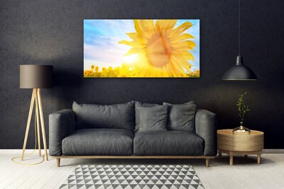 Slika na akrilnem steklu Sončnica sun flower