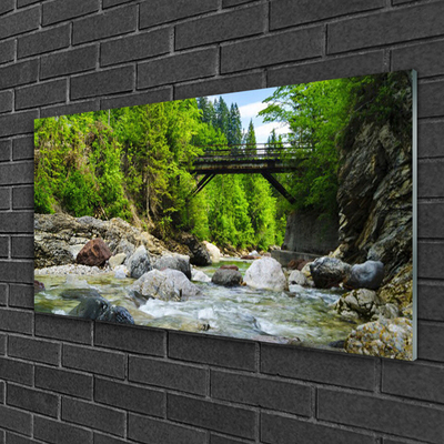 Slika na akrilnem steklu Leseni most v gozdu