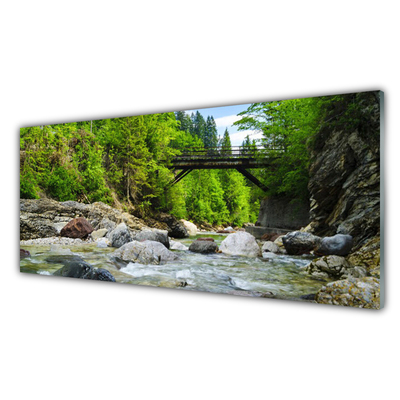 Slika na akrilnem steklu Leseni most v gozdu