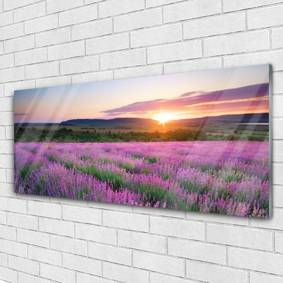 Slika na akrilnem steklu West travnik lavender polja