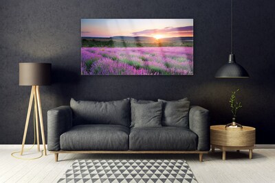 Slika na akrilnem steklu West travnik lavender polja