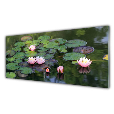 Slika na akrilnem steklu Voda lily pond narava