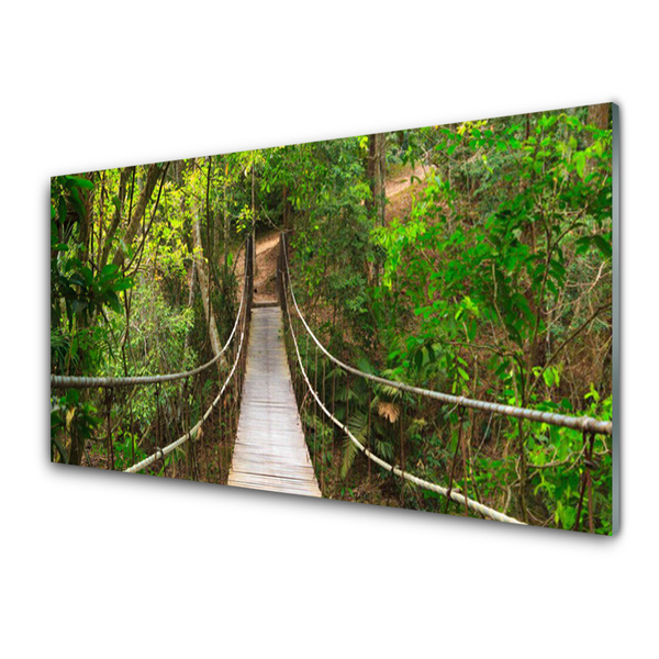 Slika na akrilnem steklu Večina jungle deževni gozd