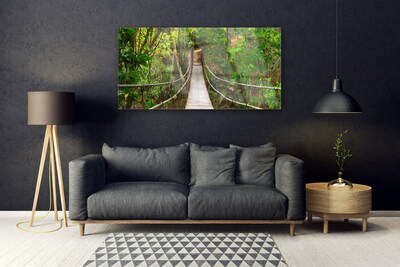 Slika na akrilnem steklu Večina jungle deževni gozd